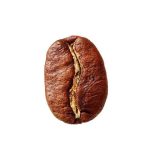 قهوه عمده برای کافه